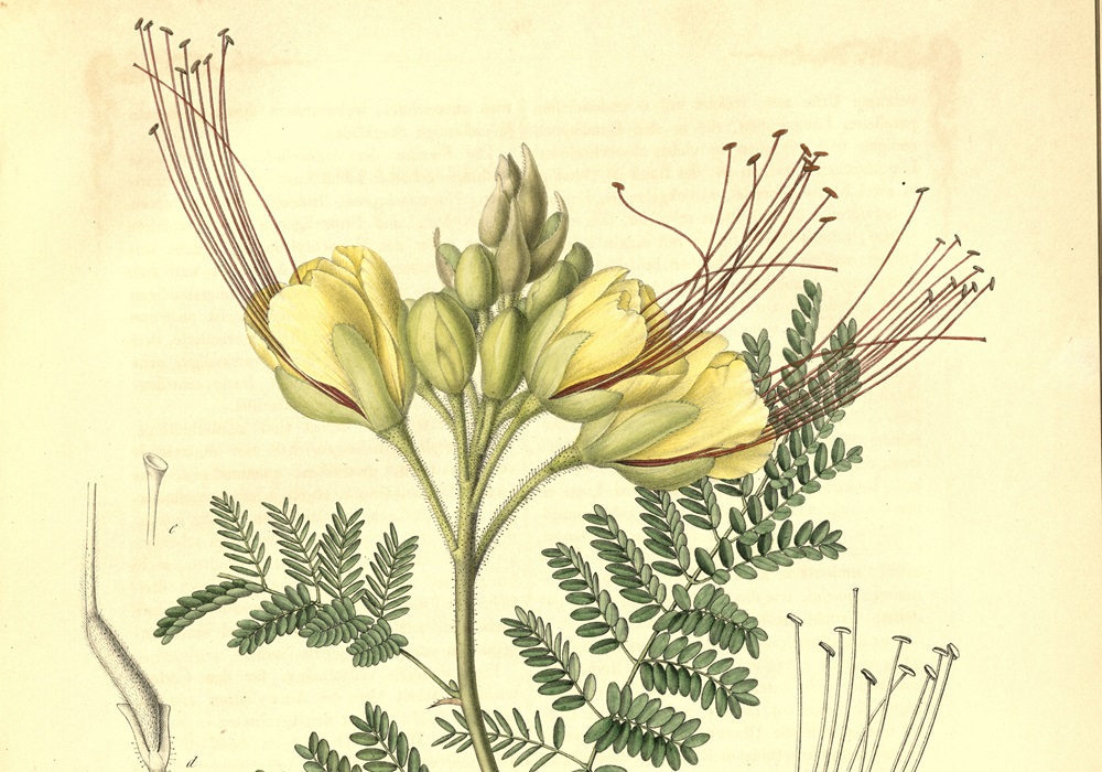 333J_LIN_177.jpg